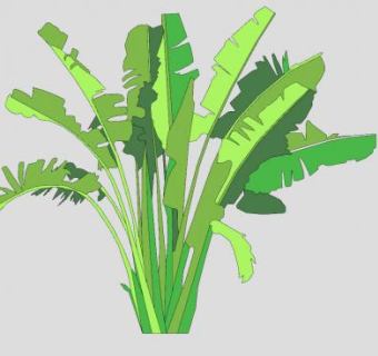 2D平面棕榈植物SU模型下载_sketchup草图大师SKP模型