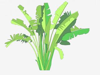 2D<em>平面</em>棕榈植物SU模型下载_sketchup草图大师SKP模型