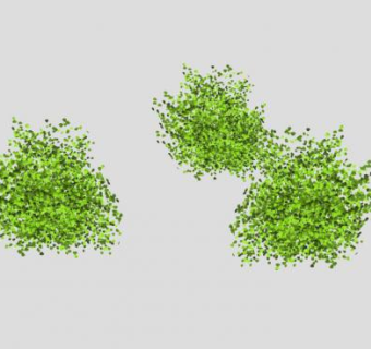 三棵灌木植物SU模型下载_sketchup草图大师SKP模型