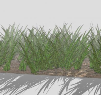 土地上的青草SU模型下载_sketchup草图大师SKP模型