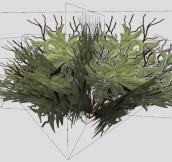 矮灌木植物SU模型下载_sketchup草图大师SKP模型