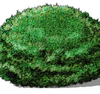 绿色植物灌木SU模型下载_sketchup草图大师SKP模型
