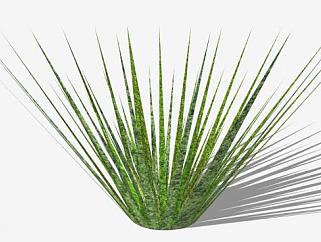 简易绿色植物SU模型下载_sketchup草图大师SKP模型