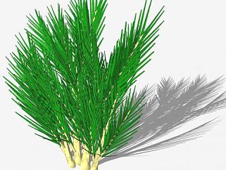 棕榈树<em>叶</em>植物SU模型下载_sketchup草图大师SKP模型
