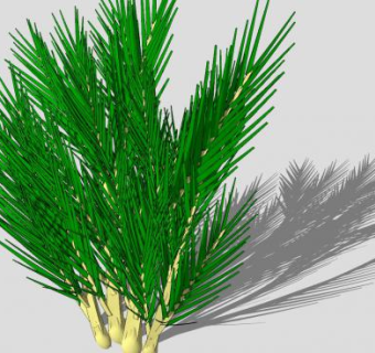 棕榈树叶植物SU模型下载_sketchup草图大师SKP模型