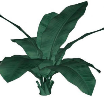 香蕉树叶植物SU模型下载_sketchup草图大师SKP模型