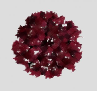 鸡爪槭树叶SU模型下载_sketchup草图大师SKP模型