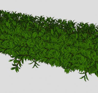六棵灌木植物SU模型下载_sketchup草图大师SKP模型