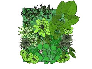 墙壁绿色植物系列SU模型下载_sketchup草图大师SKP模型