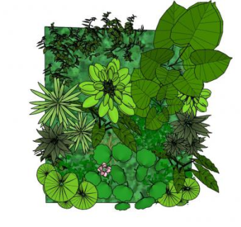 墙壁绿色植物系列SU模型下载_sketchup草图大师SKP模型