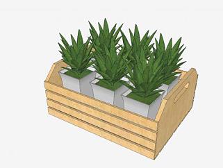 板条箱的植物盆栽SU模型下载_sketchup草图大师SKP模型