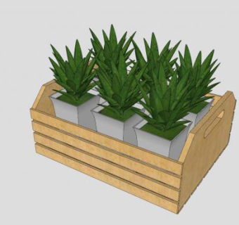 板条箱的植物盆栽SU模型下载_sketchup草图大师SKP模型
