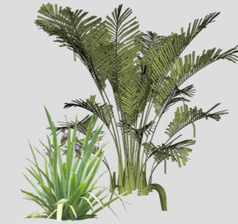 棕榈和灌木植物SU模型下载_sketchup草图大师SKP模型