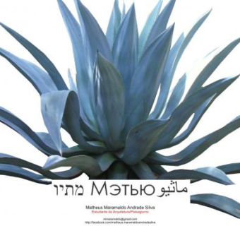 常绿大型草本植物龙舌兰SU模型下载_sketchup草图大师SKP模型