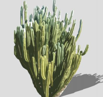 欧洲越橘仙人掌SU模型下载_sketchup草图大师SKP模型