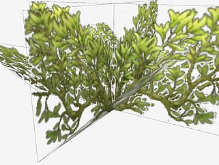 <em>低矮灌木</em>植物SU模型下载_sketchup草图大师SKP模型