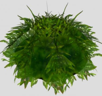 绿色植物盆栽SU模型下载_sketchup草图大师SKP模型