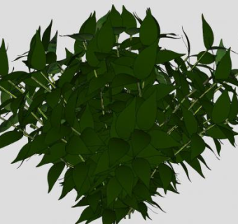 李属灌木植物SU模型下载_sketchup草图大师SKP模型