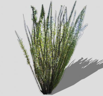 福桂花科植物SU模型下载_sketchup草图大师SKP模型