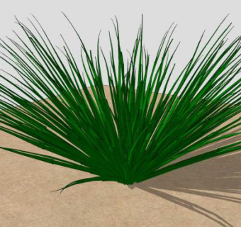 一株青草植物SU模型SU模型下载_sketchup草图大师SKP模型