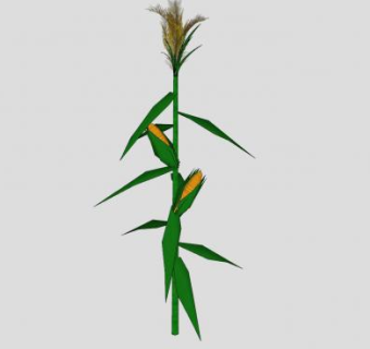结果实的玉米植株SU模型下载_sketchup草图大师SKP模型
