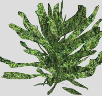 观叶灌木植物SU模型下载_sketchup草图大师SKP模型