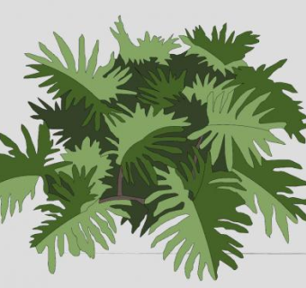 喜林芋属植物SU模型下载_sketchup草图大师SKP模型