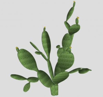 仙人掌丛生肉质灌木植物SU模型下载_sketchup草图大师SKP模型
