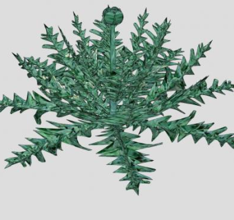 洋蓟植物SU模型下载_sketchup草图大师SKP模型