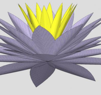 紫色睡莲植物SU模型下载_sketchup草图大师SKP模型