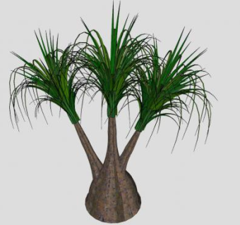 象腿树植物SU模型下载_sketchup草图大师SKP模型