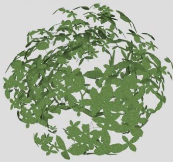 绿叶木本灌木植物SU模型下载_sketchup草图大师SKP模型