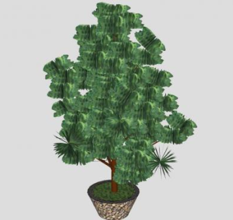 盆栽树松科植物SU模型下载_sketchup草图大师SKP模型