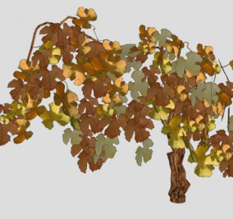3D维珍果树秋季灌木树果SU模型下载_sketchup草图大师SKP模型