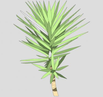 软叶丝兰植物SU模型下载_sketchup草图大师SKP模型