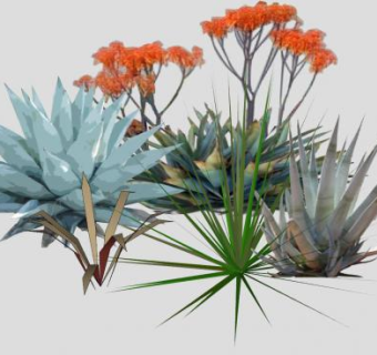 沙漠植物SU模型下载_sketchup草图大师SKP模型