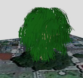 薄纱树植物SU模型下载_sketchup草图大师SKP模型