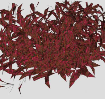 红色树叶植物SU模型下载_sketchup草图大师SKP模型