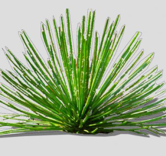 双花龙舌兰SU模型下载_sketchup草图大师SKP模型