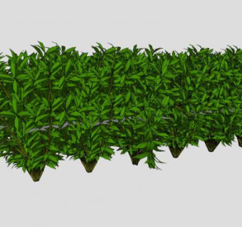 六科灌木簇丛SU模型下载_sketchup草图大师SKP模型