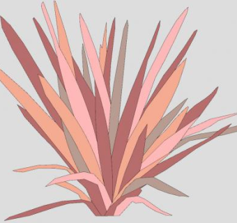 新西兰麻植物SU模型下载_sketchup草图大师SKP模型