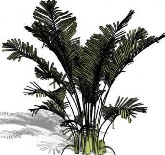 大型棕榈植物SU模型下载_sketchup草图大师SKP模型