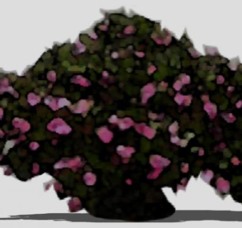 沙漠玫瑰植物SU模型下载_sketchup草图大师SKP模型