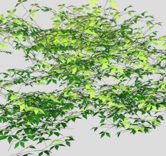 树枝树叶植物SU模型下载_sketchup草图大师SKP模型