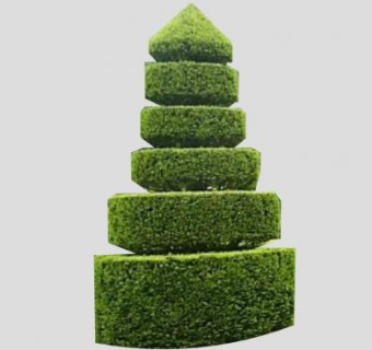 修剪成形的观赏树SU模型下载_sketchup草图大师SKP模型