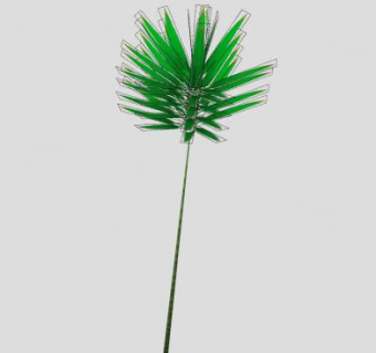 禾本科甘蔗属植物SU模型下载_sketchup草图大师SKP模型