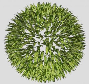 圆形金钟柏叶SU模型下载_sketchup草图大师SKP模型