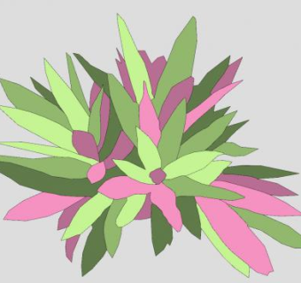 紫万年青植物SU模型下载_sketchup草图大师SKP模型