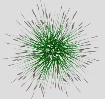 小型景观草SU模型下载_sketchup草图大师SKP模型