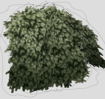 矮灌木丛SU模型下载_sketchup草图大师SKP模型